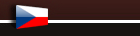 Primary Raster logo
